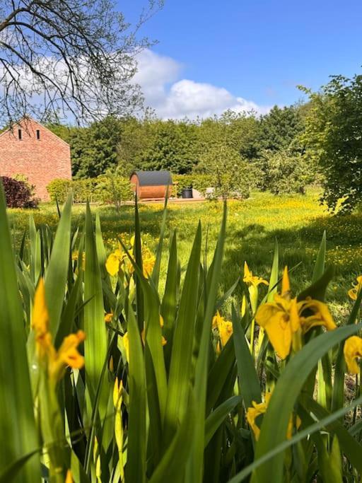 Luxury Barn With Sauna Near Welcoming Families, Friends, Groups Casa vacanze York