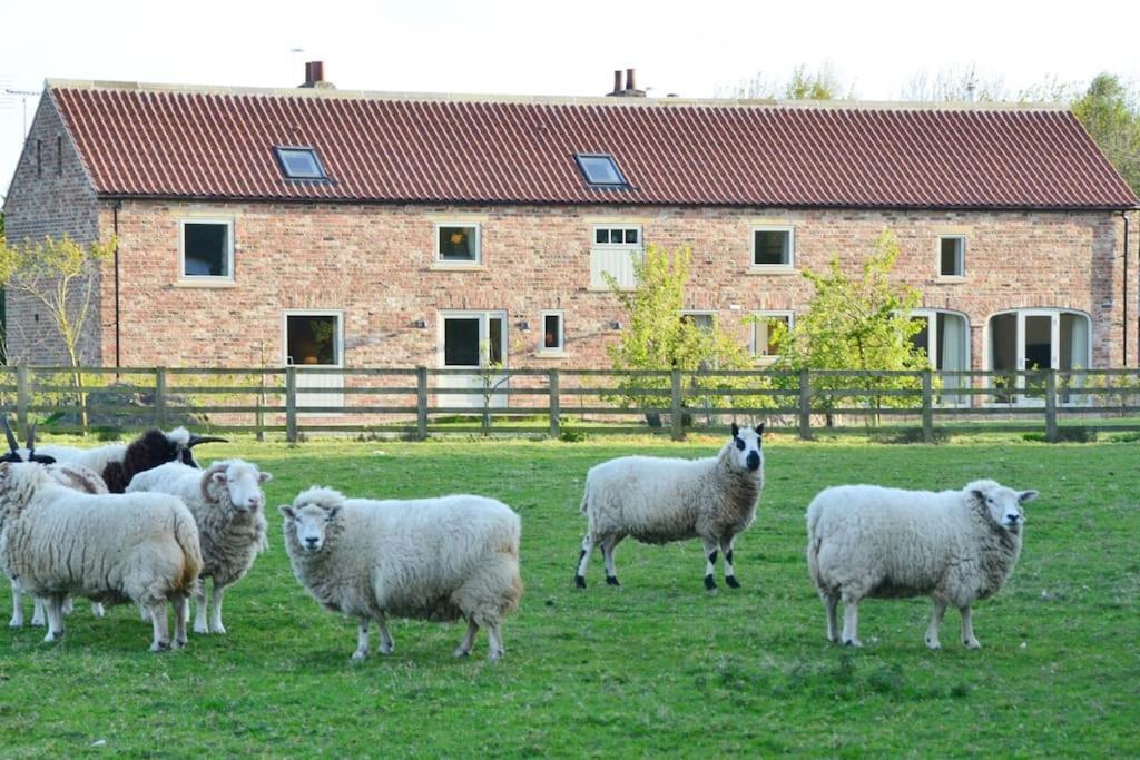 Luxury Barn With Sauna Near Welcoming Families, Friends, Groups Casa vacanze